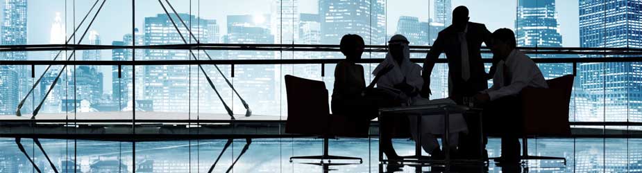 Business Consultation Services | Aboulsoud CPA